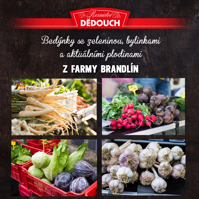 800x800-bedynky-se-zeleninou.jpg